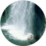 水